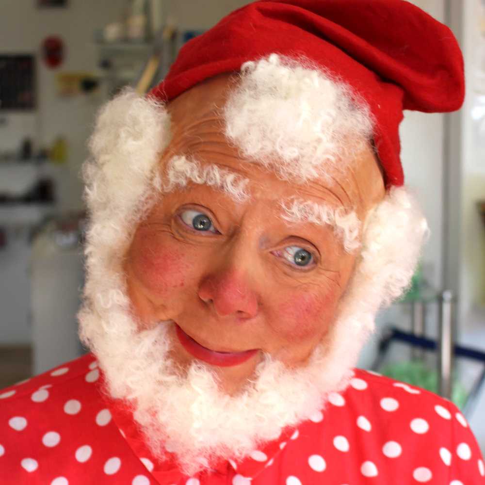 Wigs, Hair & Facial Hair - Minifies Makeup Store