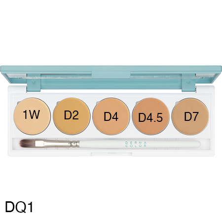 Dermacolor 5 Colour Palettes