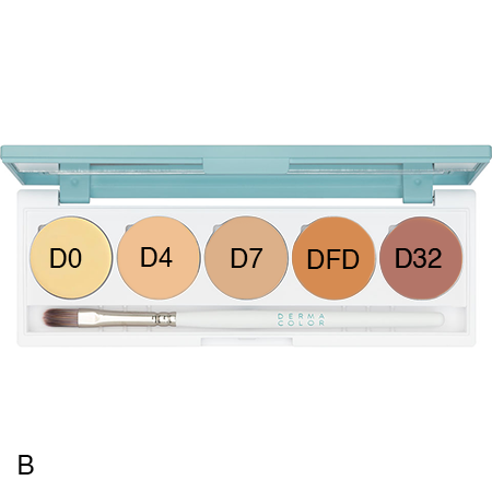 Dermacolor 5 Colour Palettes