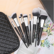 10 Piece Brush Set