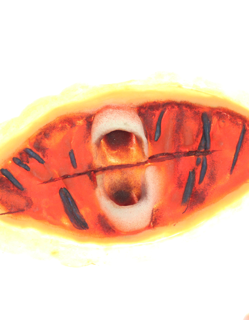 Kryolan Latex Wounds - Kryolan - Minifies Makeup Store