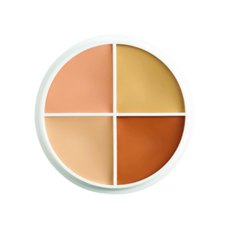 Ben Nye Tattoo Coverall Wheel - Ben Nye - Minifies Makeup Store