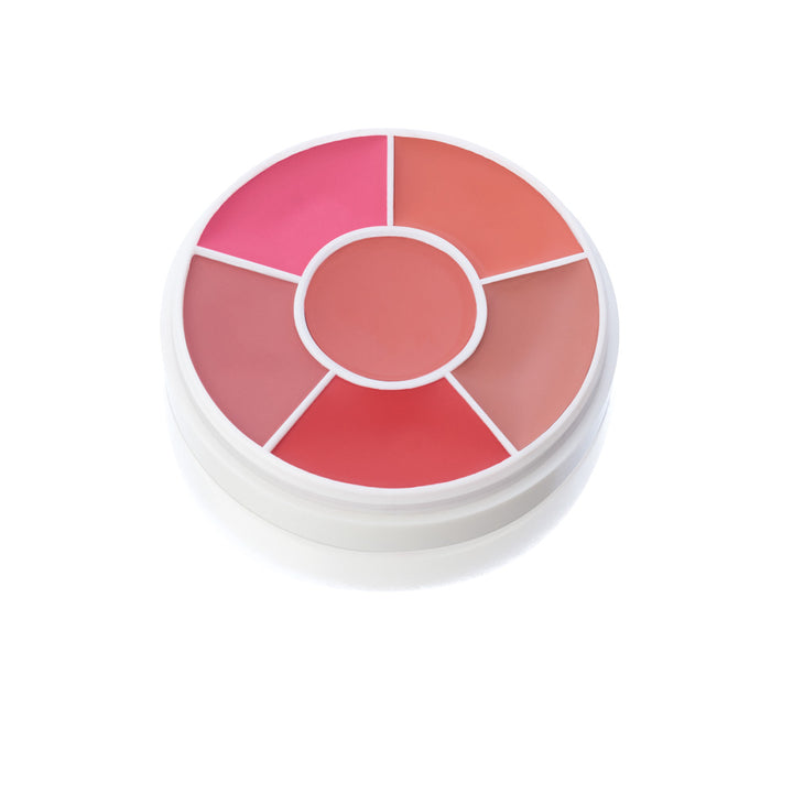 Ben Nye Blush Wheel CR-100