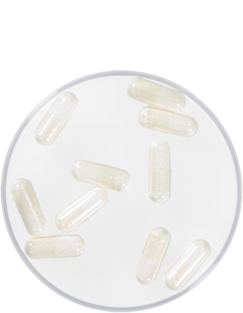 Kryolan Foam Capsules - Kryolan - Minifies Makeup Store