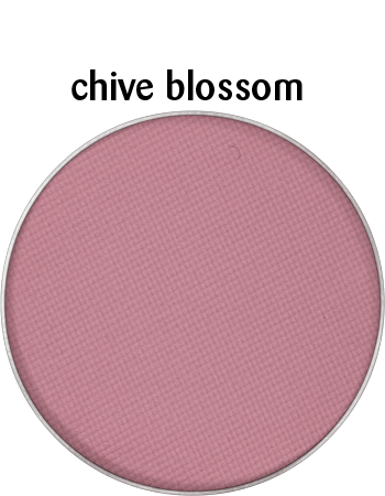 Kryolan Viva Eyeshadow Compact - Kryolan - Minifies Makeup Store